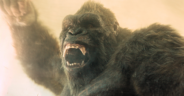 New Movies and Shows Streaming in February: What to Watch on Netflix, Prime Video, Disney+, HBO Max and More