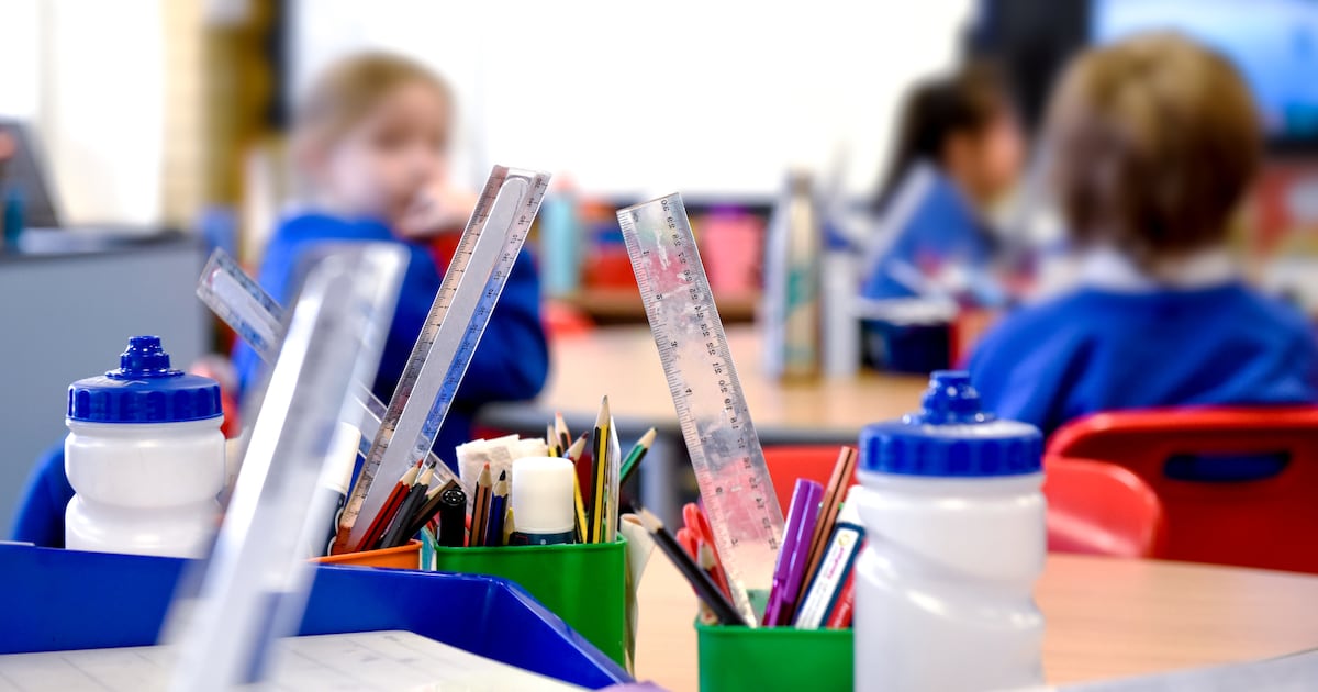 Extra €19m allocated for special needs assistants this year – The Irish Times