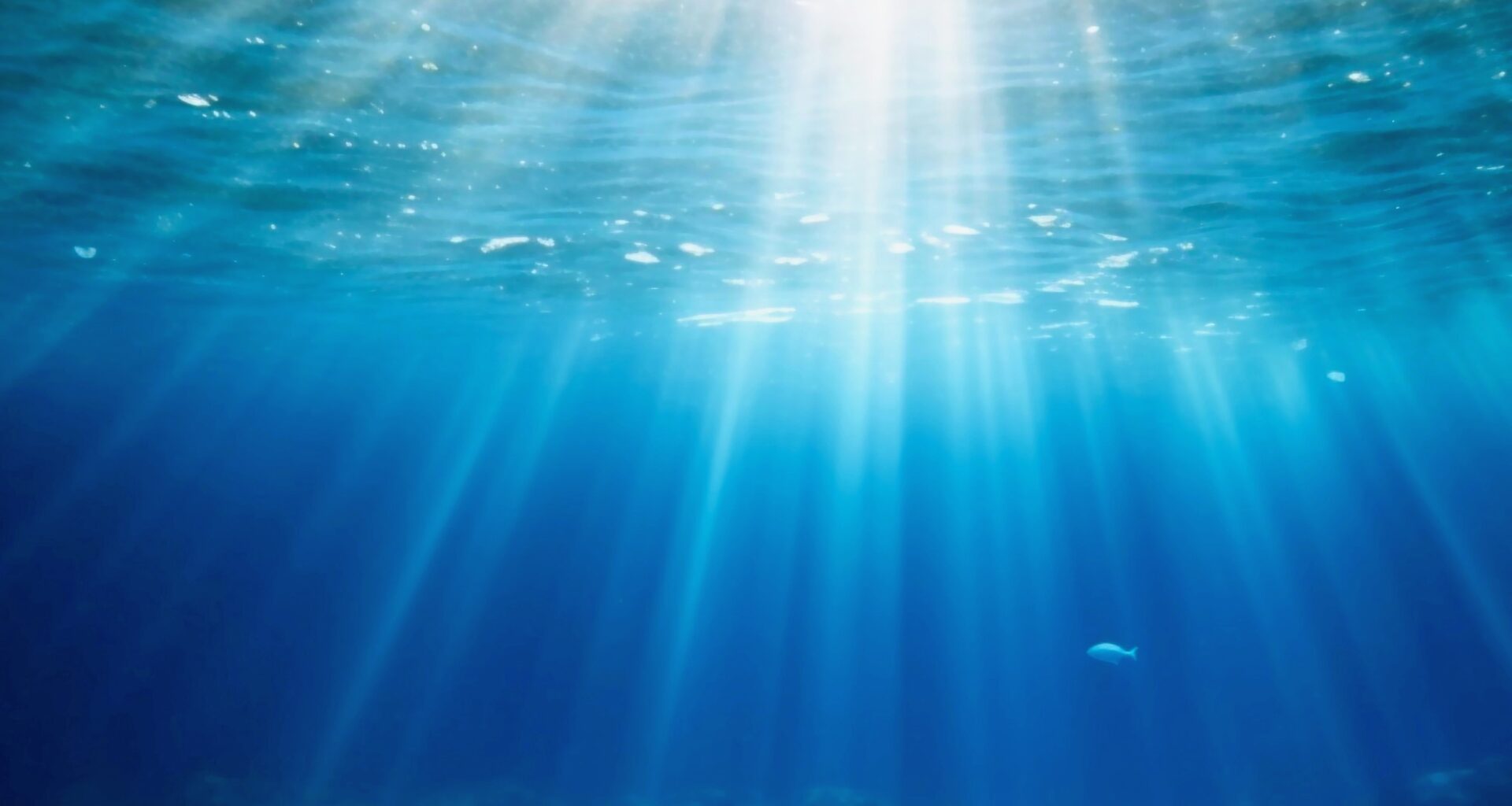 Ocean pressure changes how carbon travels to the seafloor