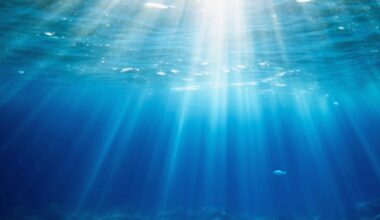 Ocean pressure changes how carbon travels to the seafloor