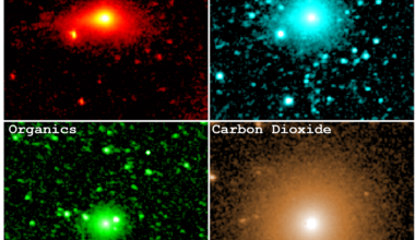 Images of 3I/ATLAS acquired by the SPHEREx mission in December 2025. Credits: NASA/JPL-Caltech