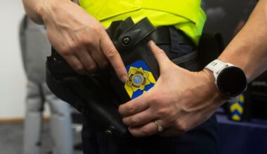 UN rights monitors ‘alarmed’ at Garda using double-strength pepper spray on peaceful protesters – The Irish Times