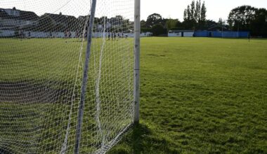 Judge throws out rugby club challenge in Foxrock playing fields row – The Irish Times