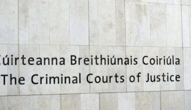 Dublin man died of stab wound to neck severing artery and jugular, murder trial hears – The Irish Times