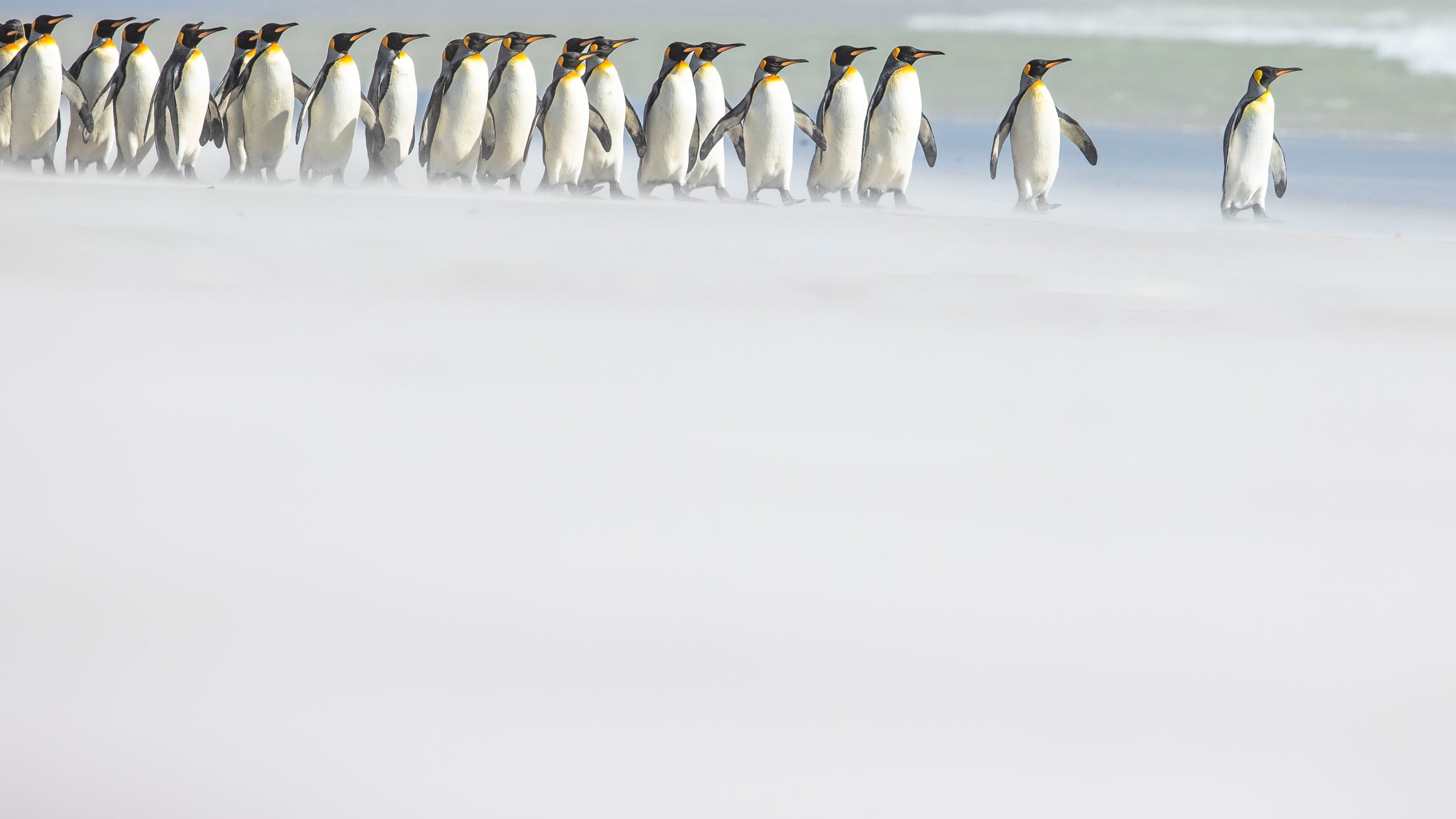 Two crucial rules in Antarctica are that only 100 people can set foot on the ice at any given time, and ships with capacities of more than 500 aren’t allowed to make landings at all