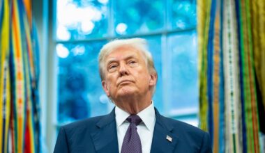 Donald Trump could deflect Maga criticism of AI for the loss of jobs in US towards Ireland – The Irish Times