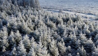 Met Éireann forecasts sharp drop in temperatures with lows of minus 3 – The Irish Times