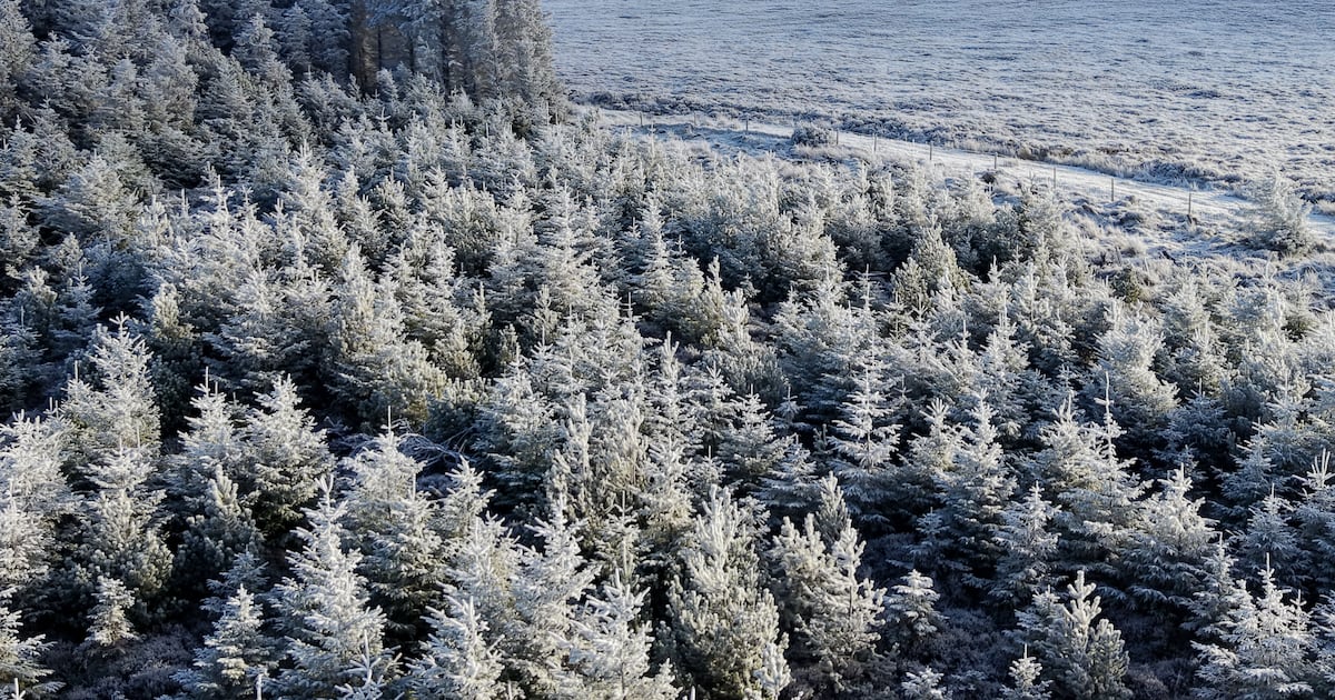 Met Éireann forecasts sharp drop in temperatures with lows of minus 3 – The Irish Times