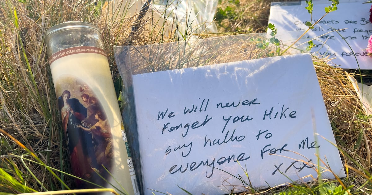 Man (50s) still being questioned over murder of Kerry sheep farmer Michael Gaine – The Irish Times