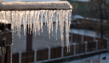 Met Éireann issues status yellow rain/snow warning for eight counties – The Irish Times