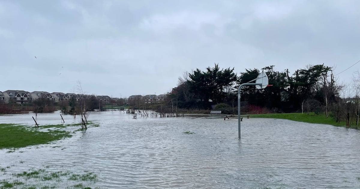 Dublin water levels still elevated as temperatures could dip to minus 4 – The Irish Times