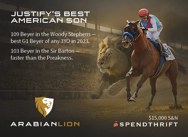 Spendthrift (Arabian Lion) 2-16-26