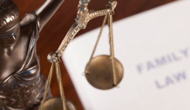 One woman’s costly journey through the courts – The Irish Times