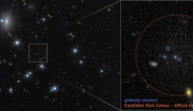 Candidate Dark Galaxy 2 (CDG-2) contains only a few stars and is dominated by dark matter, making it very dim. It was detected by observing its four globular clusters and the galaxy's very faint emissions. Image Credit: NASA, ESA, Dayi Li (UToronto); Image Processing: Joseph DePasquale (STScI)