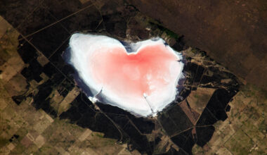 NASA captures a heart-shaped pink lake from the Space Station