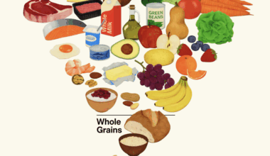 The new, upside-down food pyramid topped with meat, vegetables, then dairy, fats, fruits, and whole grains at the bottom.