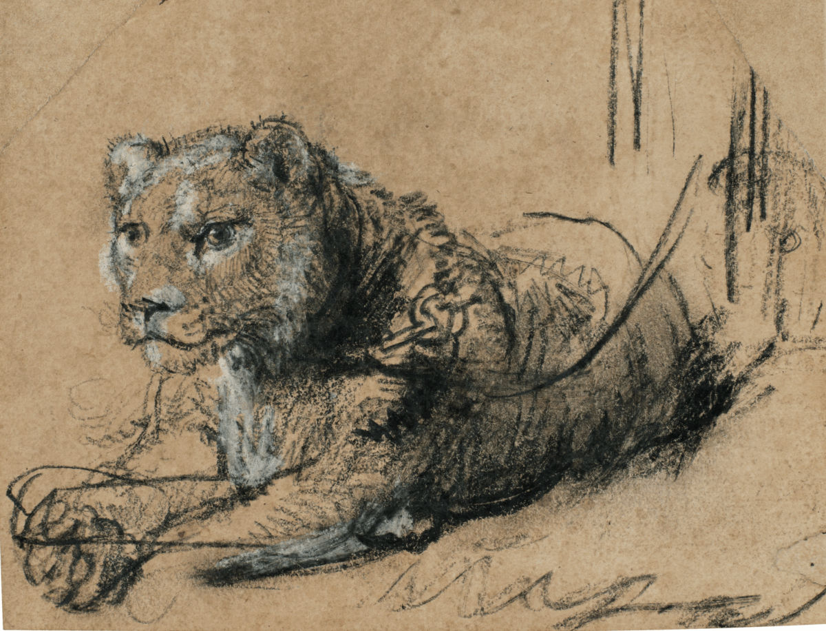 Rembrandt lion drawing fetches nearly €13 million for big cats