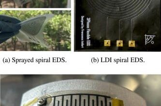 Some of the EDS samples used in the research. Credit - F. I. Pacelli et al.