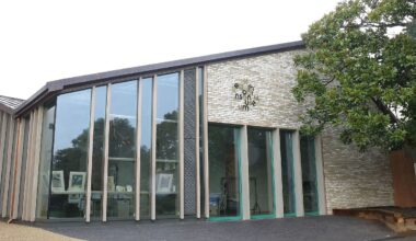 Major new exhibition at Pinner museum explores the power of a single line