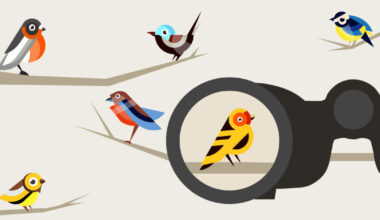 Six Types of AI Startups, Explained