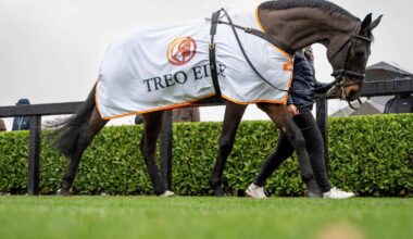 Treo Eile and Horse Sport Ireland Join Forces in New Partnership