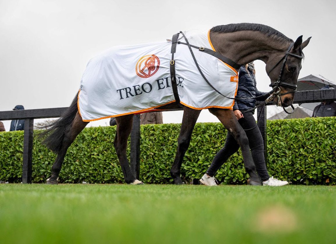 Treo Eile and Horse Sport Ireland Join Forces in New Partnership