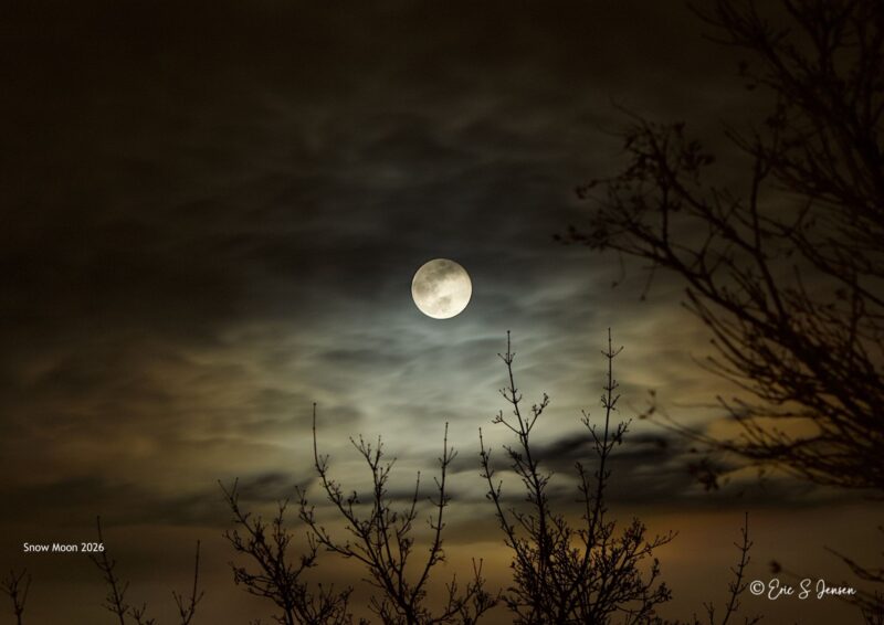 White moon surrounded by clouds. There are tree branches to the right side and bottom of the frame.