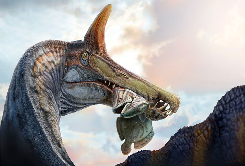 Scientists Unearth a Scimitar-Crested "Hell Heron" During a Daunting Sahara Desert Expedition