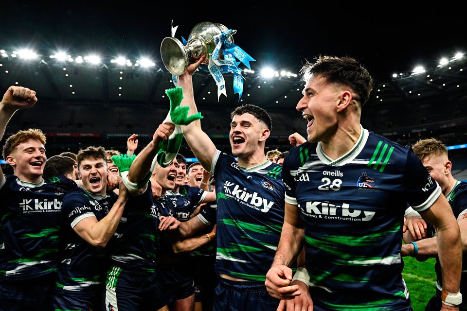 Colin Coughlan of UL and team-mates celebrate with the Fitzgibbon Cup