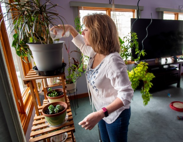 Stephanie Nicholson waters her houseplants in her home in the Quaker Hill neighborhood of Waterford. Nicholson worries that a lack of contract between her insurer Aetna and UConn Health will force her out-of-network. (Aaron Flaum/Hartford Courant)