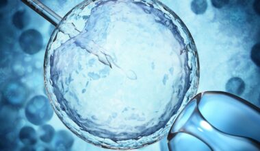 Have you considered egg-freezing? Is it viable in Ireland? – The Irish Times