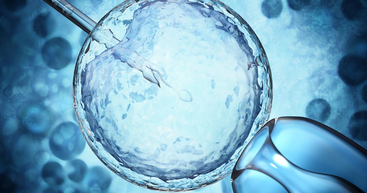 Have you considered egg-freezing? Is it viable in Ireland? – The Irish Times