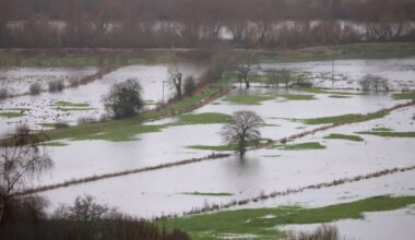 Councillors tried to zone 288 flood-prone sites for development in past six years – The Irish Times