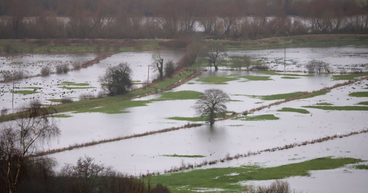 Councillors tried to zone 288 flood-prone sites for development in past six years – The Irish Times
