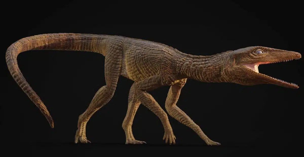The Illustration Shows Galahadosuchus Jonesi As A Reptilian Greyhound Like Hunter, Built For Speed With Elongated, Delicate Legs.