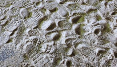 Turning Moon Dust Into Oxygen How Scientists Plan The Future Of Lunar Exploration