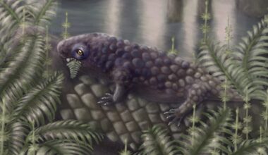 Newly Discovered Fossil Among The Earliest Land Creatures to Enjoy a Salad : ScienceAlert