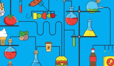 What we all need to know about eating in a world of ultra-processed foods – The Irish Times