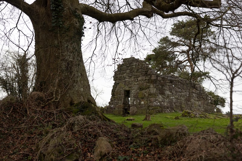 Human remains were found in the downed trees after Storm Eowyn at the St Mella’s oratory site on the St Manchán Lemanaghan monastery grounds in Co Offaly. Photograph: Chris Maddaloni 