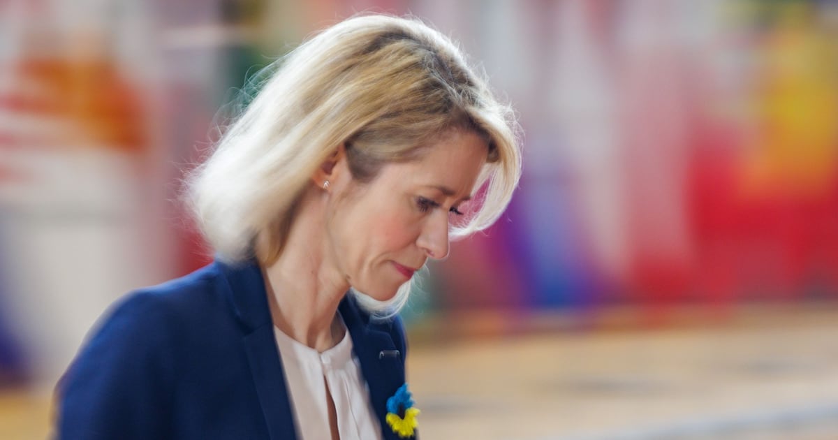 Limits on Ukraine’s army in peace deal should apply to Russia too, top EU official proposes – The Irish Times