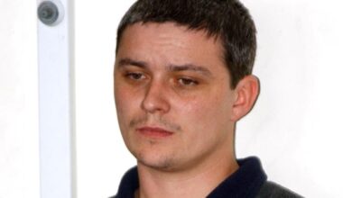 Soham murderer Ian Huntley seriously injured in prison attack – The Irish Times