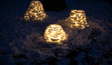 Ice sculptures made by artist Emily D. Stewart seen outside her home on Wednesday, Feb. 11, 2026 in Narberth, Pa.  “The art form is ephemeral,” Stewart said. “When the temperature rises it will disappear.”