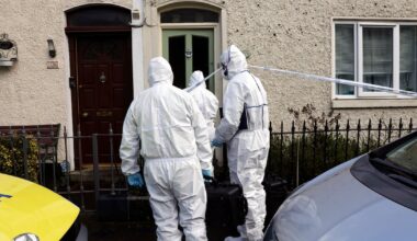 Woman (63) charged with murder of man following assault at Dublin house party – The Irish Times