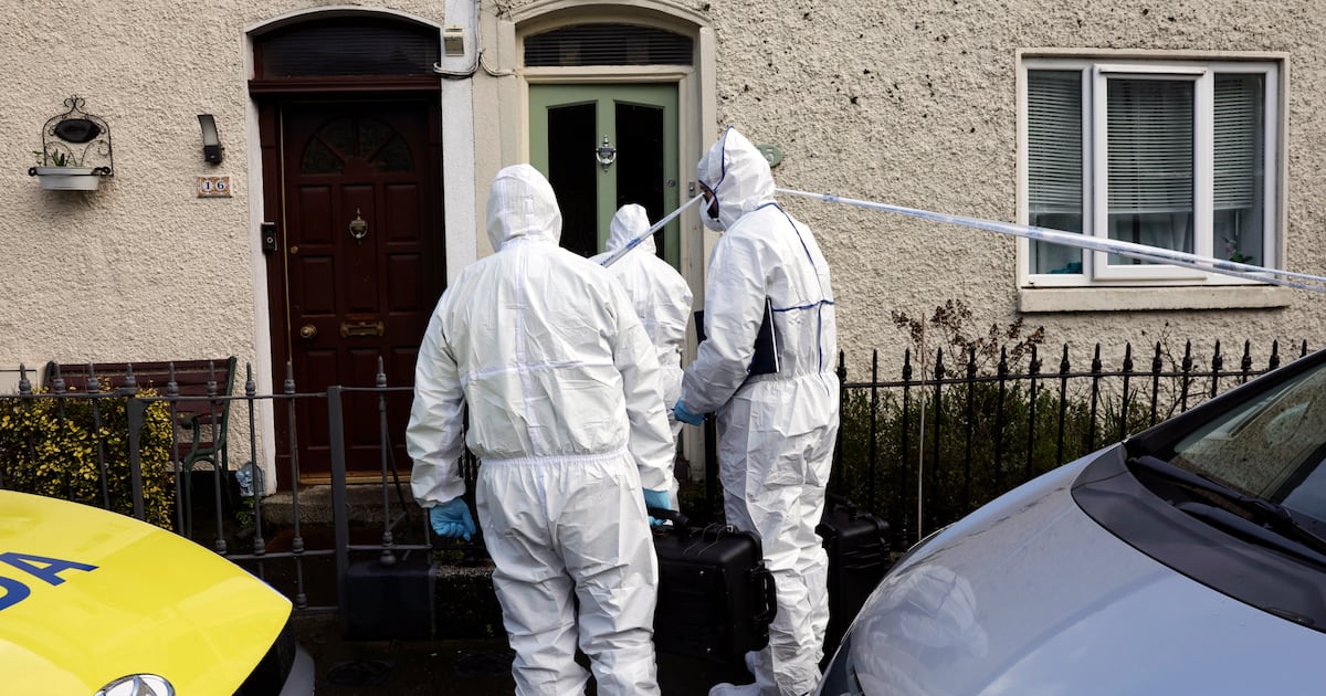 Woman (63) charged with murder of man following assault at Dublin house party – The Irish Times