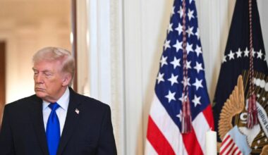 European Parliament pauses work ratifying EU-US tariff deal – The Irish Times