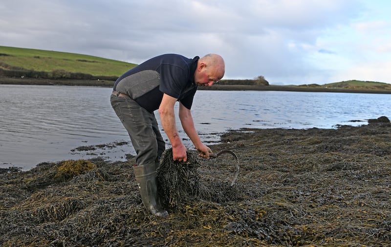 Joe Mortimer at work in Rosmoney, Clew Bay, Co Mayo. Photograph: Conor McKeown for The Irish Times