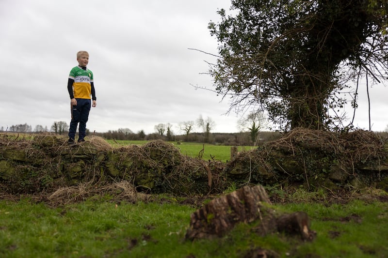 Evan Phelan was playing near where the human skull was found amid downed trees after Storm Eowyn at St Mella’s oratory site. Photograph: Chris Maddaloni