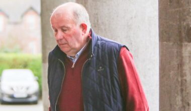 GAA coach says club a place of ‘dread and stress’ after treasurer convicted of assaulting him – The Irish Times