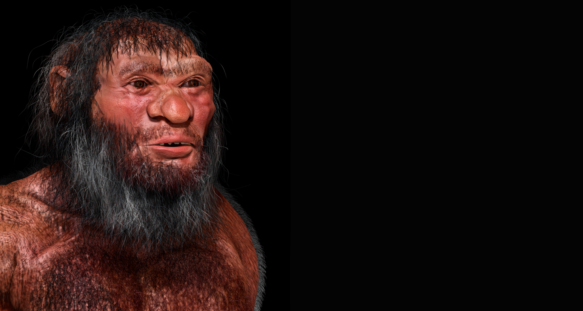 What are ghost lineages, remnants of the past that still exist in our DNA today?