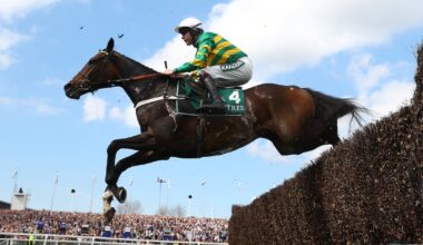 Freezing conditions threaten weekend jumps action in Ireland and Britain – The Irish Times